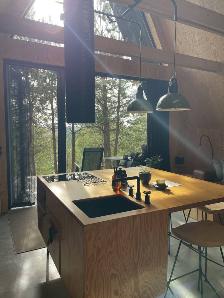 Kitchen island with forest view through large windows at DOYOU PLACE