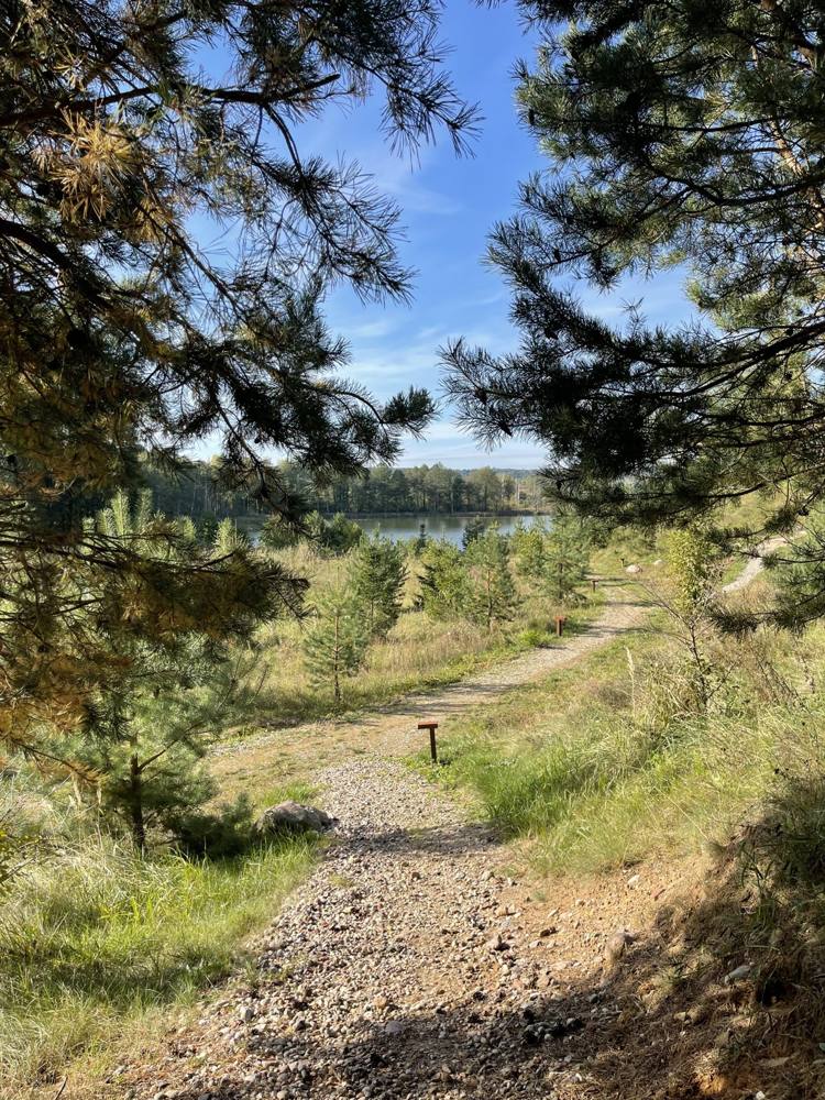 Forest path leading down to the lake at DOYOU PLACE near Vilnius