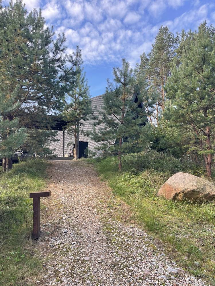 Gravel path through pine trees to an A-frame cabin at DOYOU PLACE, Lithuania